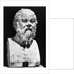 Portrait Bust Of Socrates by Anonymous