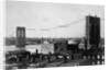 Brooklyn Bridge Under Construction by Anonymous