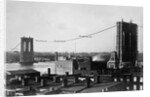 Brooklyn Bridge Under Construction by Anonymous