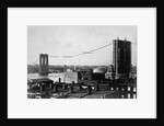 Brooklyn Bridge Under Construction by Anonymous