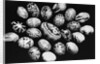 Special Easter Eggs From Czechoslovakia by Anonymous