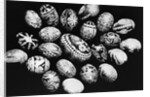 Special Easter Eggs From Czechoslovakia by Anonymous
