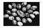 Special Easter Eggs From Czechoslovakia by Anonymous
