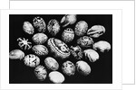 Special Easter Eggs From Czechoslovakia by Anonymous