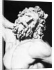 Detail of the Head of Laocoon from The Laocoon Group by Anonymous