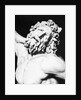 Detail of the Head of Laocoon from The Laocoon Group by Anonymous