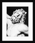 Detail of the Head of Laocoon from The Laocoon Group by Anonymous