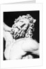Detail of the Head of Laocoon from The Laocoon Group by Anonymous