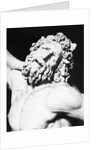 Detail of the Head of Laocoon from The Laocoon Group by Anonymous