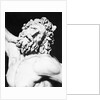 Detail of the Head of Laocoon from The Laocoon Group by Anonymous