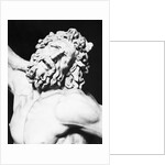 Detail of the Head of Laocoon from The Laocoon Group by Anonymous