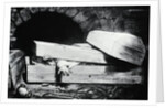 Supposed Dead Man Awakening In Vault by Anonymous