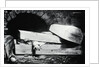 Supposed Dead Man Awakening In Vault by Anonymous