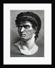 Engraving Of Head Of Brutus by Anonymous