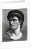 Engraving Of Head Of Brutus by Anonymous
