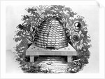 Woodcut Of A Beehive by Anonymous