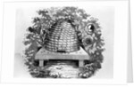 Woodcut Of A Beehive by Anonymous