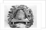 Woodcut Of A Beehive by Anonymous