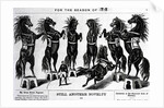 Horses Performing In Circus by Anonymous