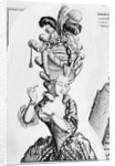 Illustration of 18th-Century Woman With Ridiculous Headpiece by Anonymous