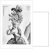 Illustration of 18th-Century Woman With Ridiculous Headpiece by Anonymous
