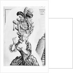 Illustration of 18th-Century Woman With Ridiculous Headpiece by Anonymous
