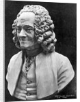 Bust Of Voltaire by Anonymous