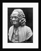 Bust Of Voltaire by Anonymous