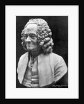 Bust Of Voltaire by Anonymous