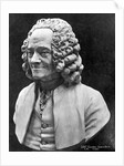 Bust Of Voltaire by Anonymous