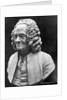 Bust Of Voltaire by Anonymous