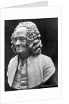 Bust Of Voltaire by Anonymous