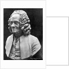 Bust Of Voltaire by Anonymous