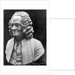 Bust Of Voltaire by Anonymous