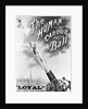 Advertisement Bill For "The Human Cannonball" by Anonymous