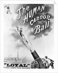 Advertisement Bill For "The Human Cannonball" by Anonymous