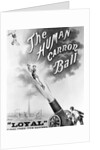 Advertisement Bill For "The Human Cannonball" by Anonymous