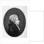 Wolfgand A Mozart Profile by Anonymous