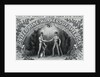 Lithograph with United Mine Workers of America Emblem by Anonymous