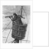 Illustration of a Sailor In Crows Nest by Anonymous
