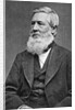 Asa Gray American Botonist by Anonymous