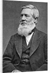 Asa Gray American Botonist by Anonymous
