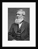 Asa Gray American Botonist by Anonymous