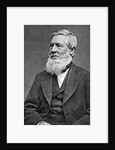 Asa Gray American Botonist by Anonymous