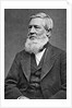 Asa Gray American Botonist by Anonymous