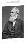 Asa Gray American Botonist by Anonymous