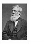 Asa Gray American Botonist by Anonymous