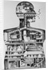 Model Of A Man As A Factory by Anonymous