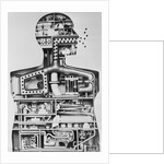 Model Of A Man As A Factory by Anonymous