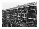 Railroad Bridge over Dale Creek Gorge by Anonymous